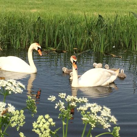Friesland-Cottage Molkwerum エクステリア 写真