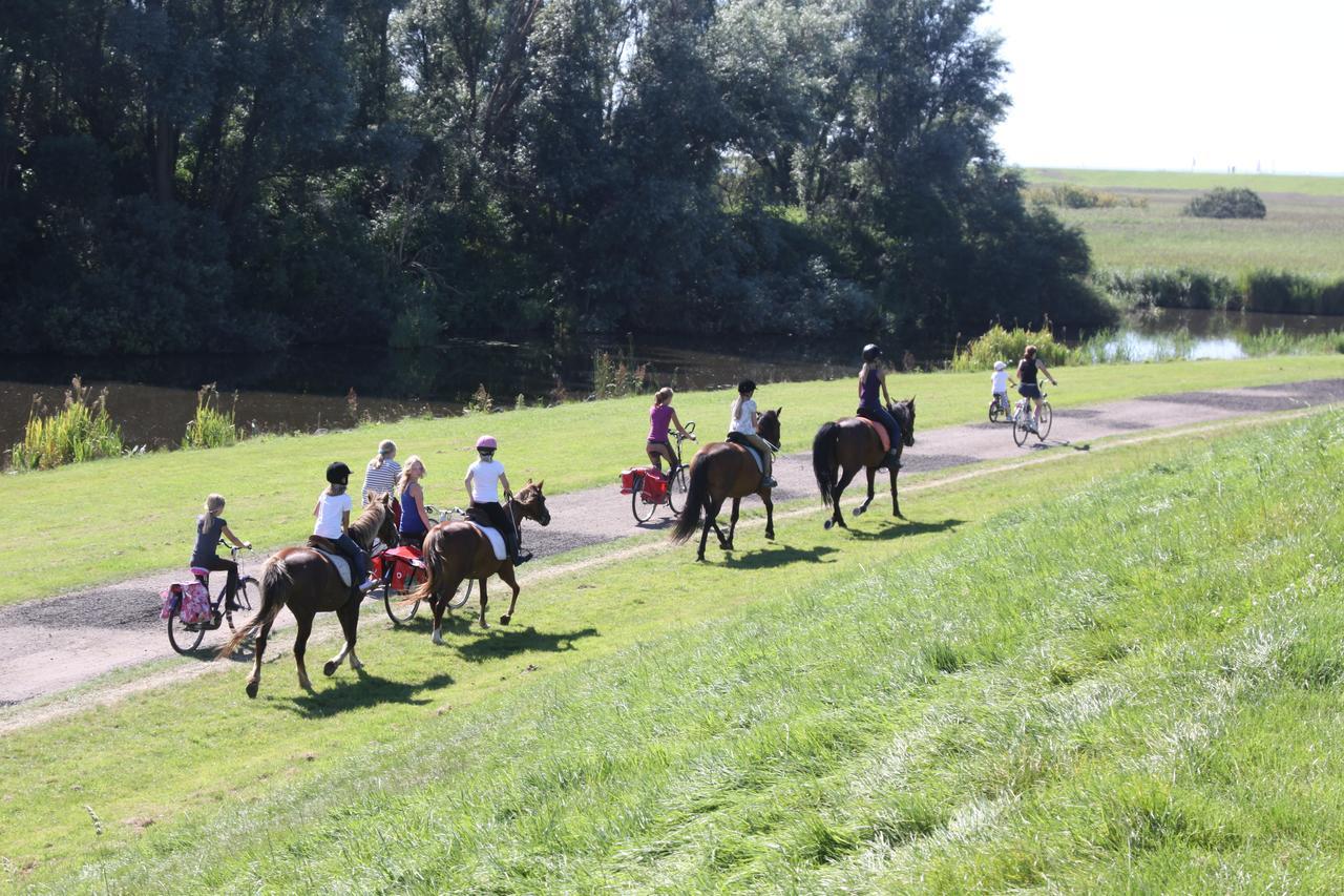 Friesland-Cottage Molkwerum エクステリア 写真